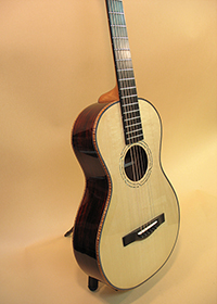 Custom Luthier Built Parlor Guitar