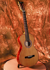 Custom Luthier Built Parlor Guitar