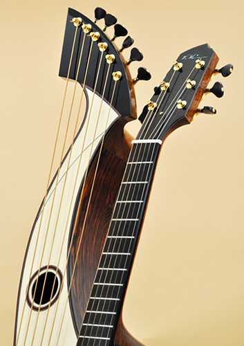 Custom Acoustic Guitars