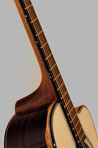 Custom Acoustic Guitar