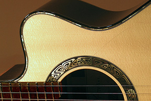 Custom Acoustic Guitar