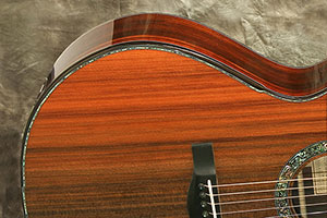 Custom Acoustic Guitar