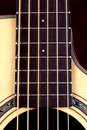 Ebony Fingerboards and Bridges