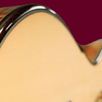 Guitar Panel 10