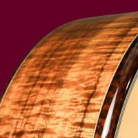 Guitar Panel 7