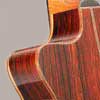 Guitar Panel 10