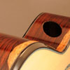 Guitar Panel 4