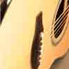 Guitar Panel 5