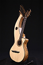 Custom Harp Guitar