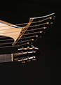 Custom Harp Guitar