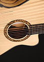 Custom Harp Guitar