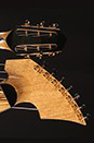 Custom Harp Guitar