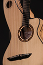 Custom Harp Guitar