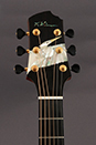 Custom Acoustic Guitar