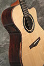 Custom Acoustic Guitar