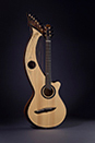 Custom Harp Guitar