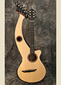 Custom Harp Guitar