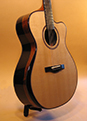 Custom Acoustic Guitar