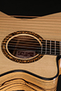 Custom Harp Guitar