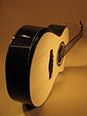 Custom Acoustic Guitar