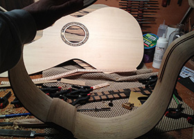 Custom Harp Guitar