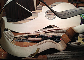 Custom Harp Guitar