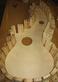 Custom Harp Guitar