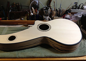 Custom Harp Guitar