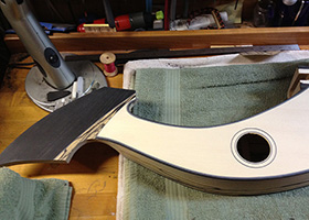 Custom Harp Guitar