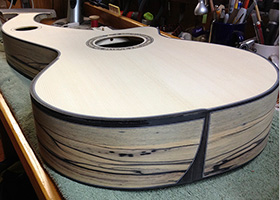 Custom Harp Guitar