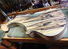 Custom Harp Guitar