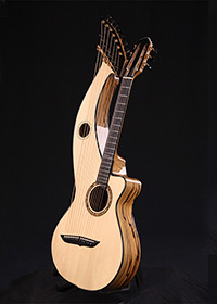 Custom Harp Guitar