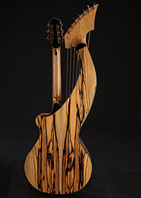 Custom Harp Guitar