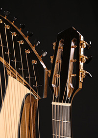 Custom Harp Guitar