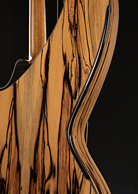 Custom Harp Guitar