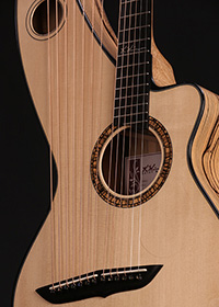 Custom Harp Guitar