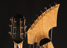 Custom Harp Guitar