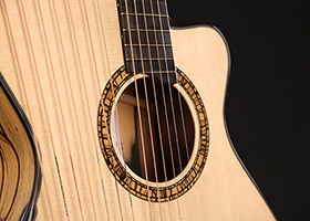 Custom Harp Guitar