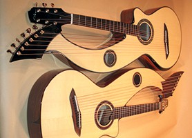 Custom Harp Guitar