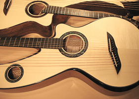 Custom Harp Guitar