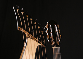 Custom Harp Guitar