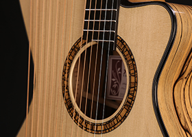 Custom Harp Guitar