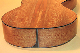 Custom Harp Guitar