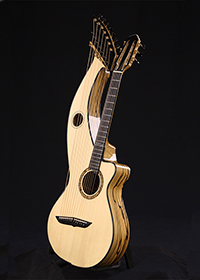 Custom Harp Guitar