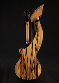 Custom Harp Guitar