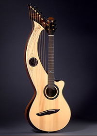 Custom Harp Guitar