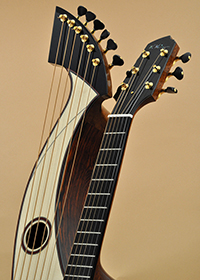 Custom Harp Guitar