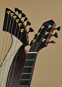 Custom Harp Guitar