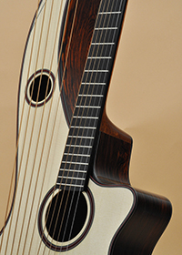 Custom Harp Guitar