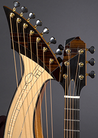 Custom Harp Guitar